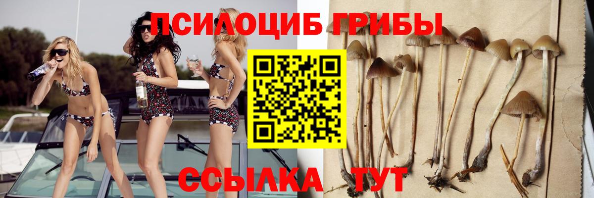 Галлюциногенные грибы MAGIC MUSHROOMS  Вход с VPN  Псилоцибиновые грибы Psilocybine cubensis  Горячий Ключ 